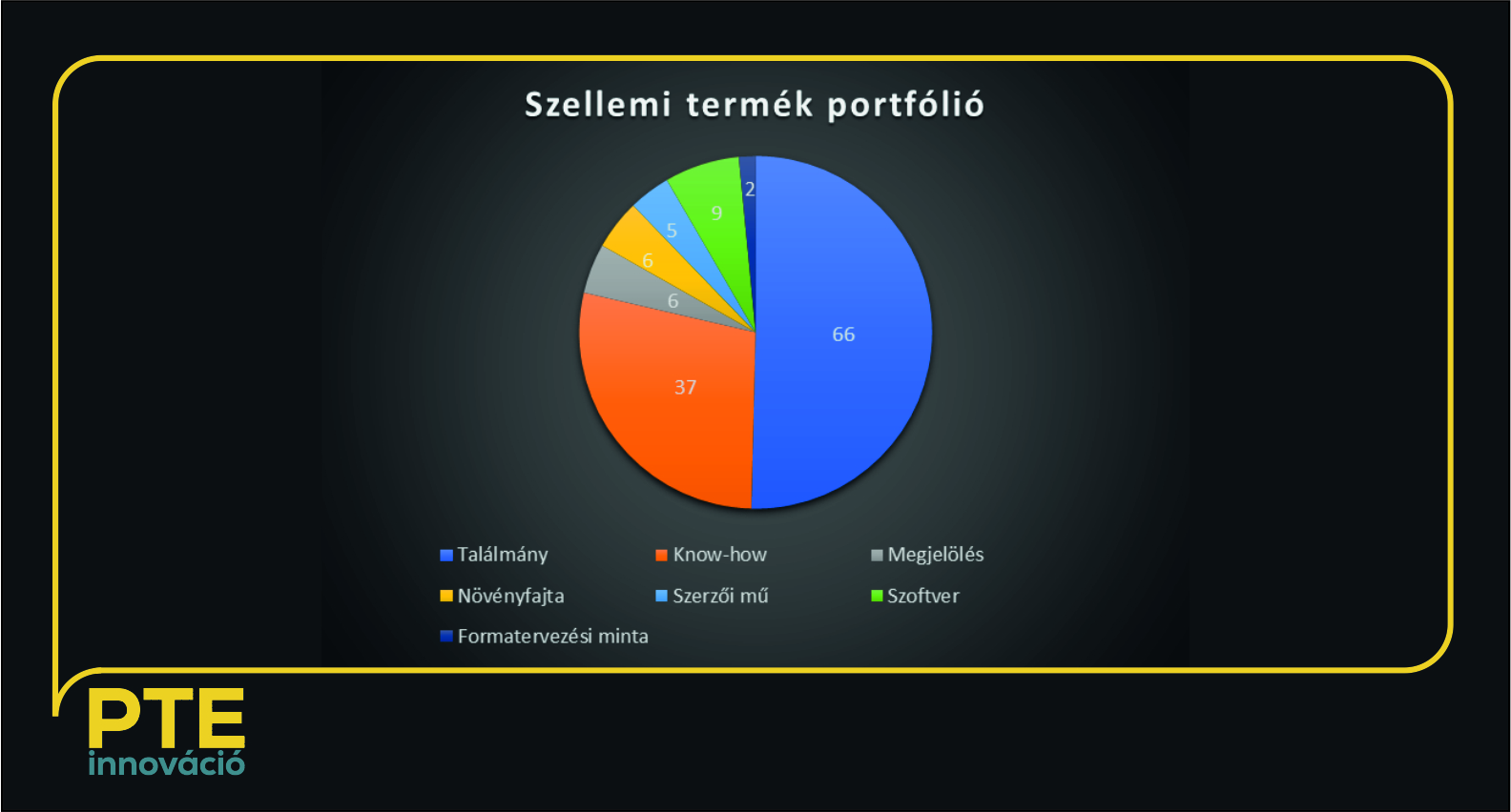 szellemi termék portfólió